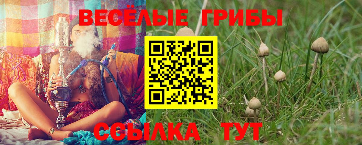 Люберцы  Галлюциногенные грибы мицелий  Вход с VPN 